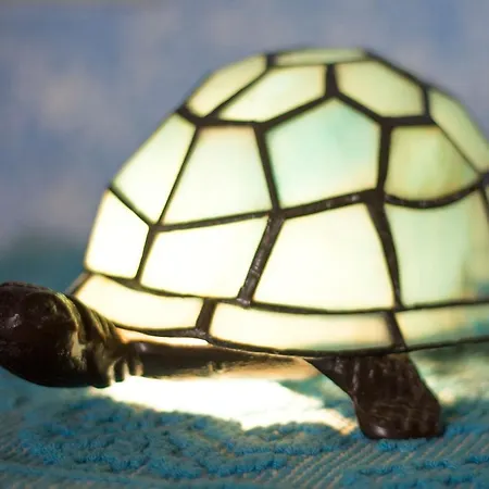 Apartamento Terrazza Sulla Pelosa *